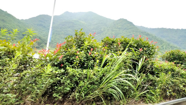 旅途風(fēng)景