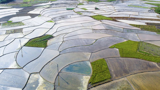 田園