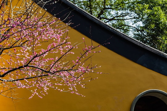 杭州靈隱寺