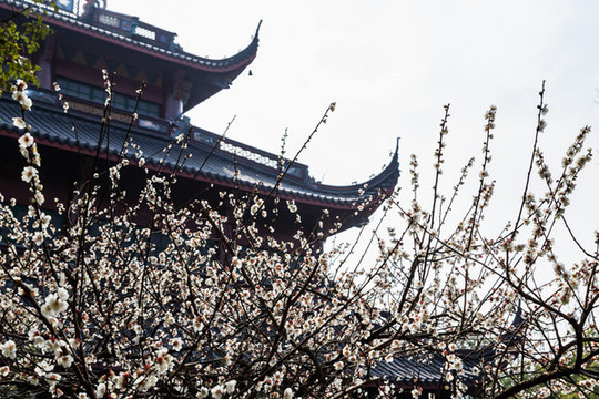 杭州靈隱寺