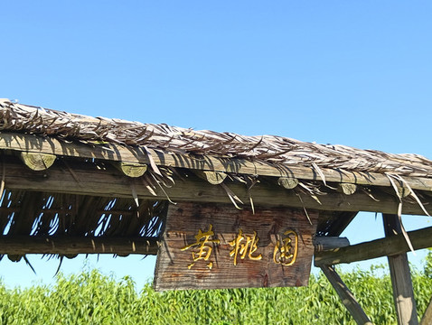 黃桃園