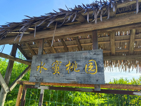 水蜜桃園