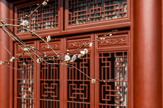 杭州永福寺