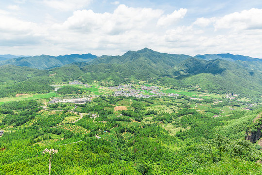 山