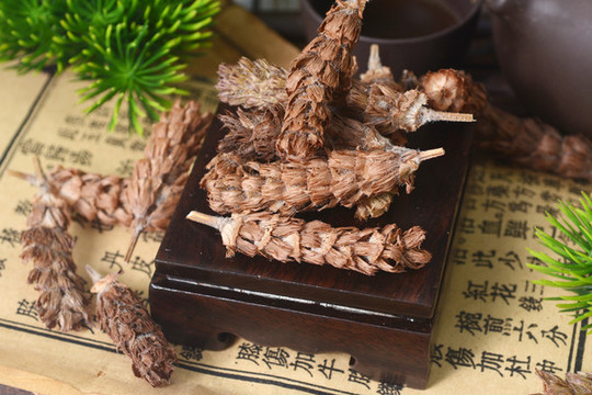 中草藥夏枯草