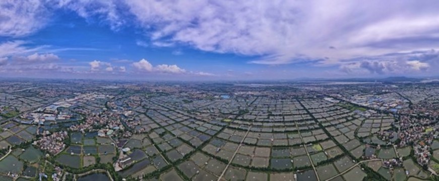 珠三角順德田園風(fēng)光