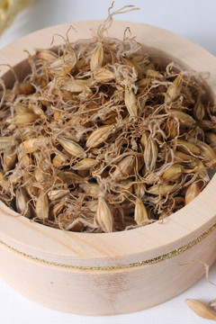 中草藥麥芽