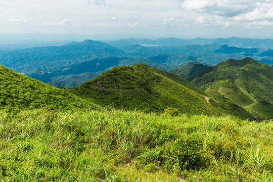 青山