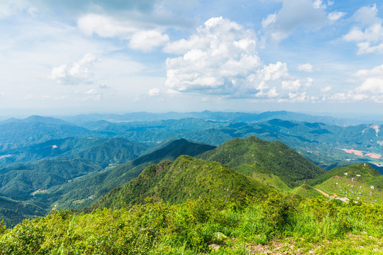 一座青山