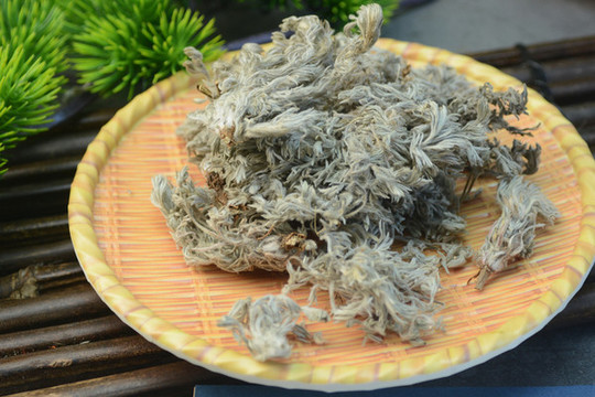 中草藥茵陳
