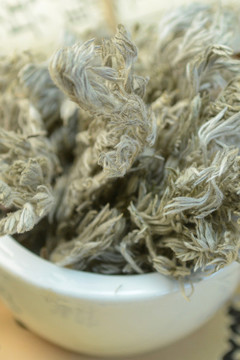 中草藥茵陳