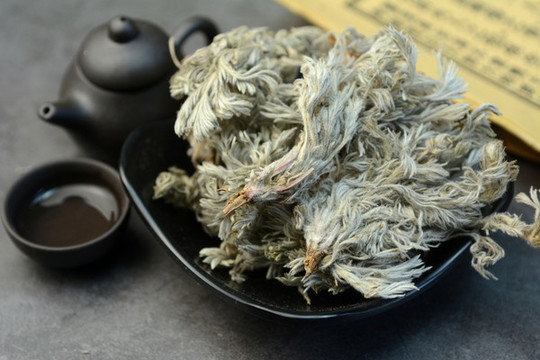 中草藥茵陳