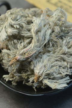 中草藥茵陳