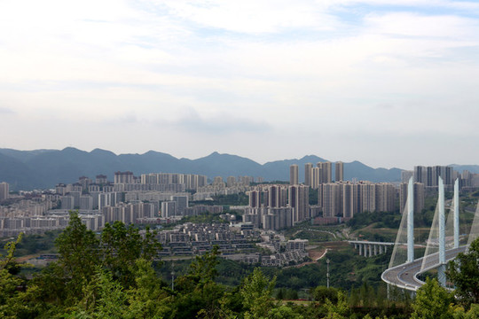 城市