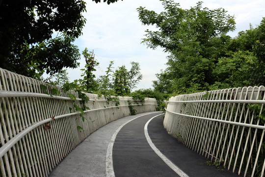 綠茵道路