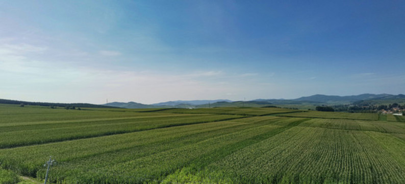 一馬平川