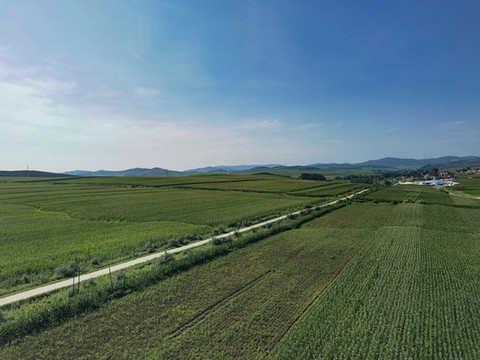 田園風(fēng)光