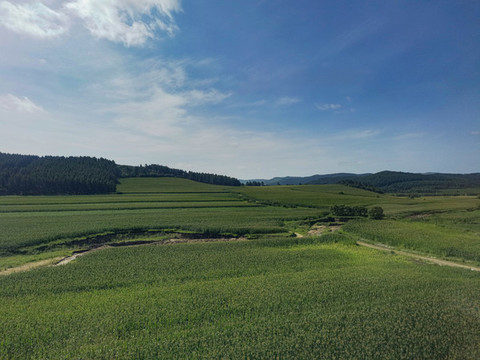 晴空田地