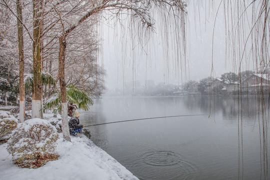 合肥黑池壩公園雪景