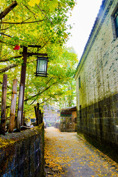銀杏村