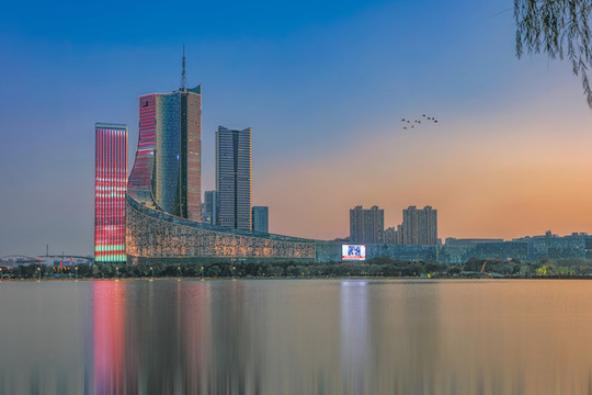 合肥天鵝湖夜色