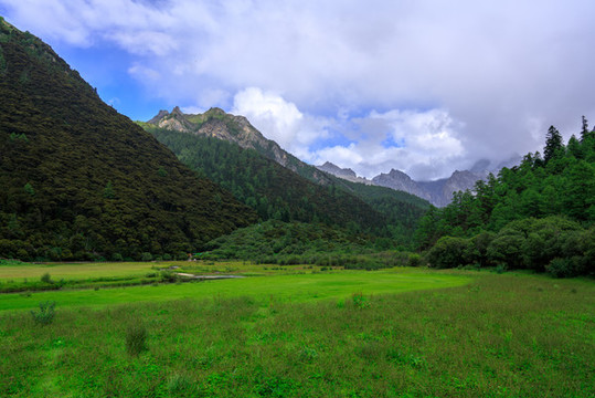稻城亞丁沖古草甸藍天白云草地