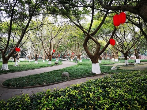 森林公園