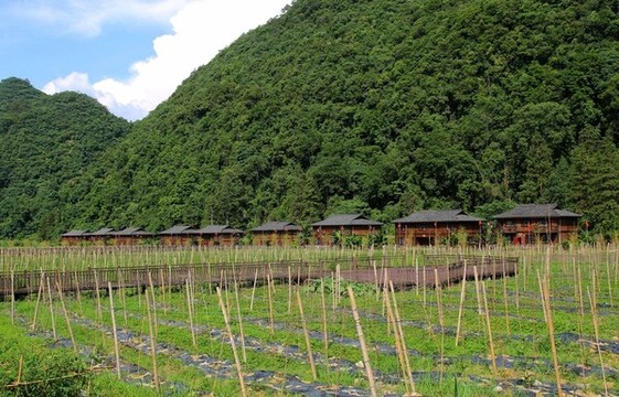 荔波田園