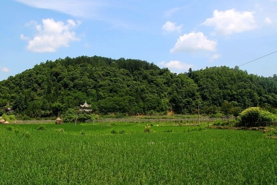 荔波田園