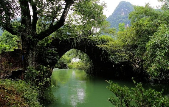 荔波田園