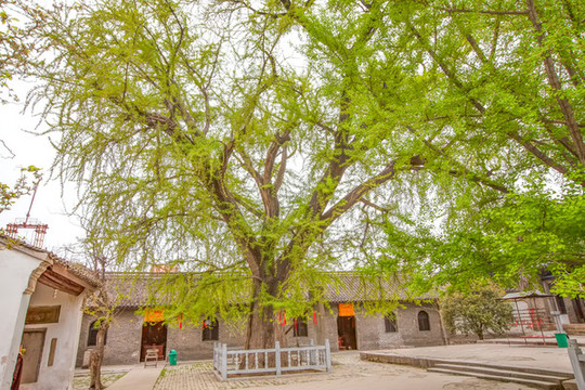 壽縣報(bào)恩寺