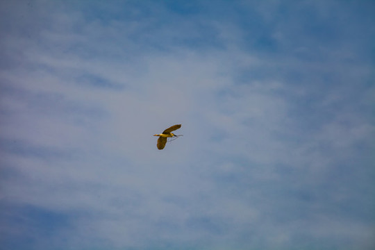 壽縣鳥島