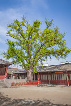 壽縣孔廟