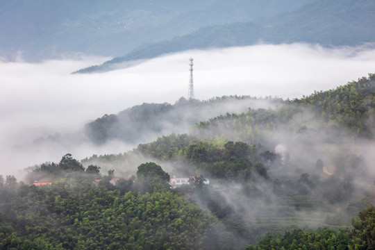 響洪甸水庫云海