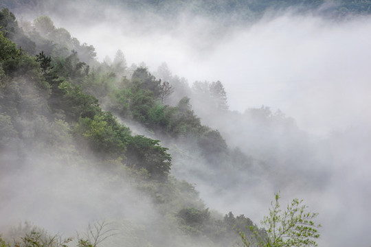 響洪甸水庫云海