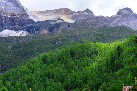 甘孜稻城亞丁雪山冰川森林