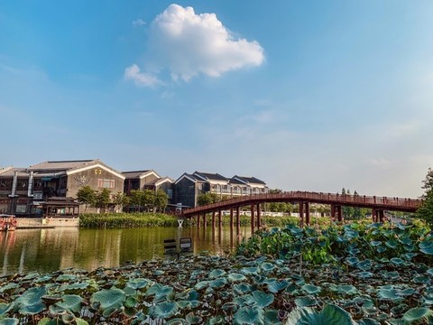 荷塘美景東莞華陽湖