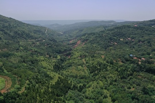航拍秦嶺山脈梯田植被森林