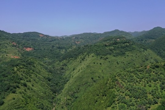 航拍秦嶺山脈梯田植被森林