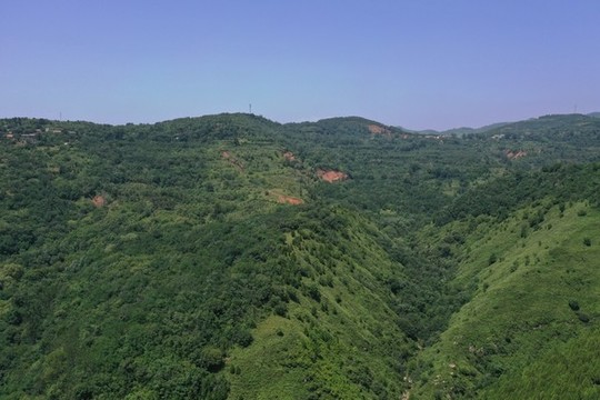 航拍秦嶺山脈梯田植被森林