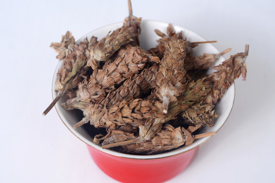 中草藥夏枯草