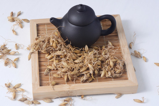 中草藥麥芽
