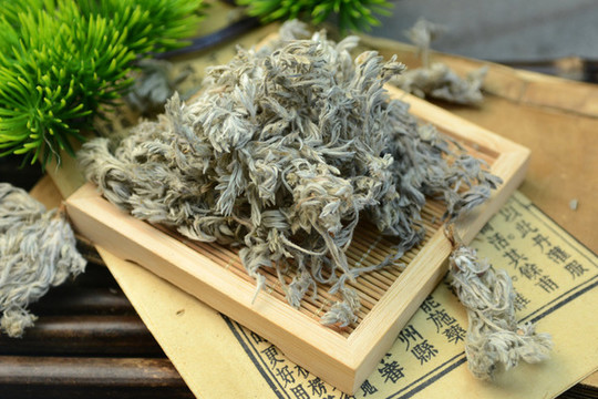 茵陳