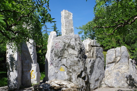 北京龍?zhí)逗? loading=