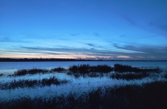湖泊濕地景觀