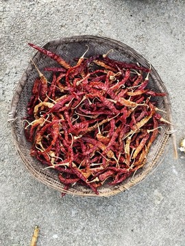 曬紅辣椒