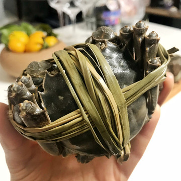 鮮活大閘蟹