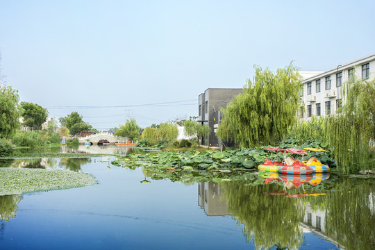 安徽廬江縣新農(nóng)村園林景觀
