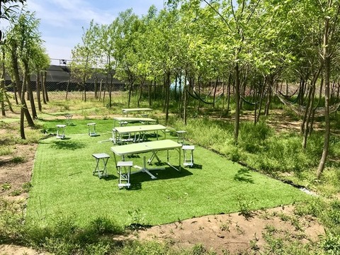 林間的野餐桌
