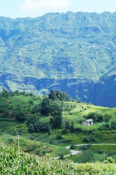 云南大山深處有人家